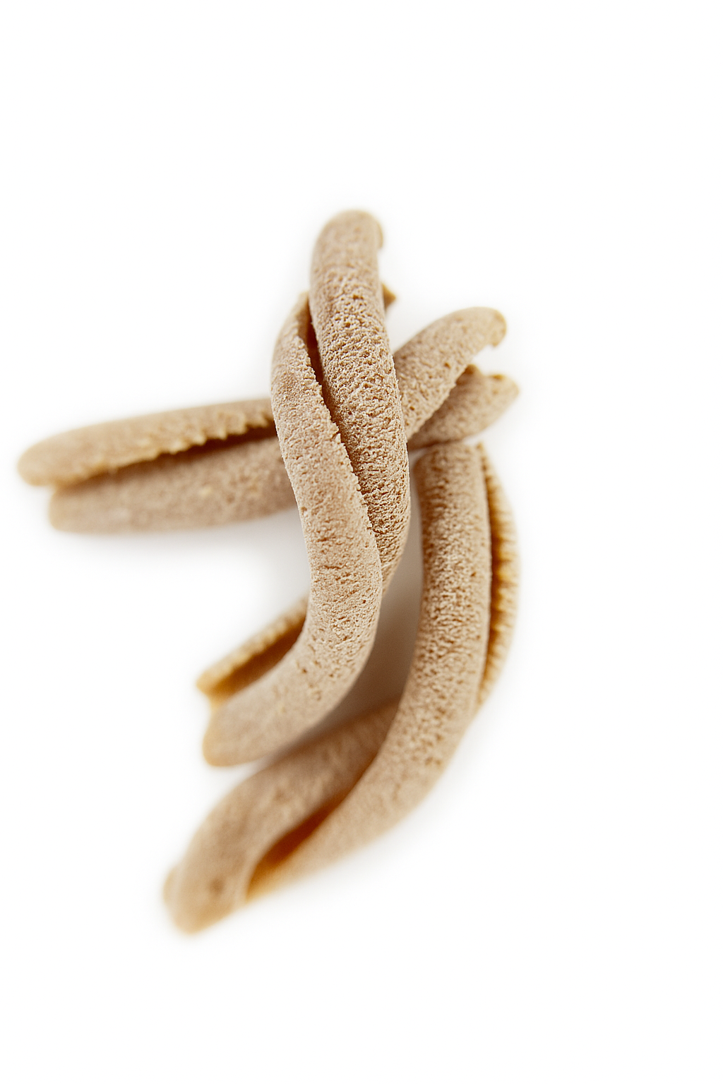 individual organic wholegrain spelt casarecce pasta from carleschi