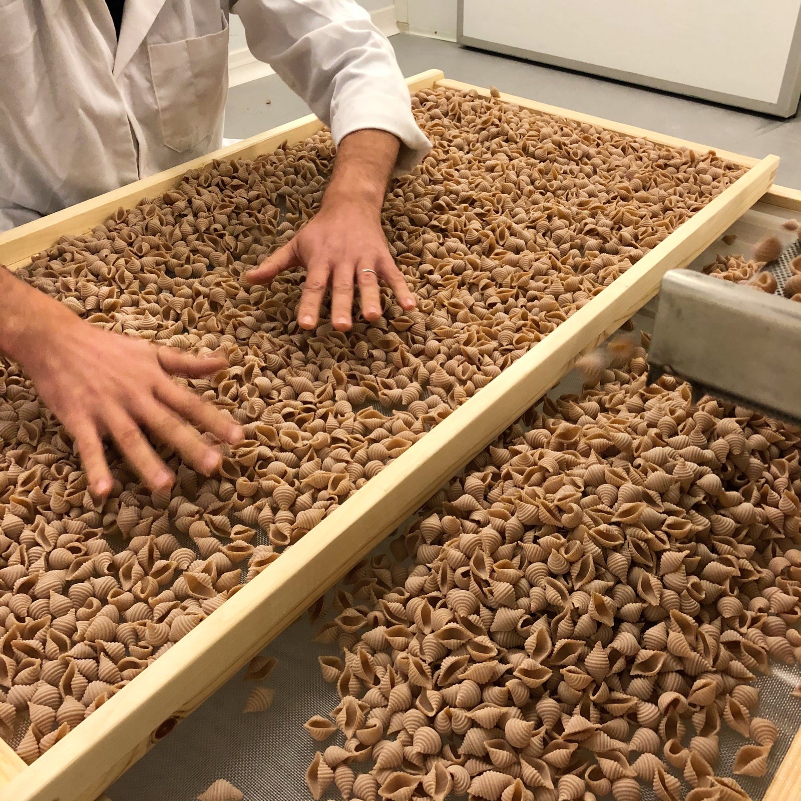 Person handling fresh pasta from carleschi on a wooden board with a kitchen background