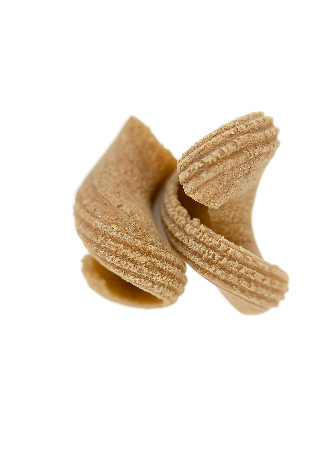 individual pieces of organic wholegrain einkorn gigli rigati pasta from carleschi 