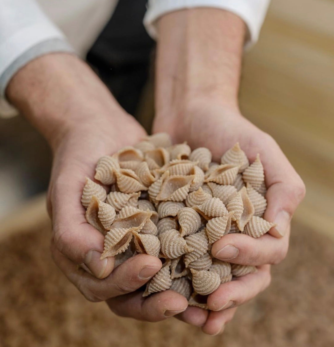 a handful of spelt conchiglie pasta from carleschi against a blurred background