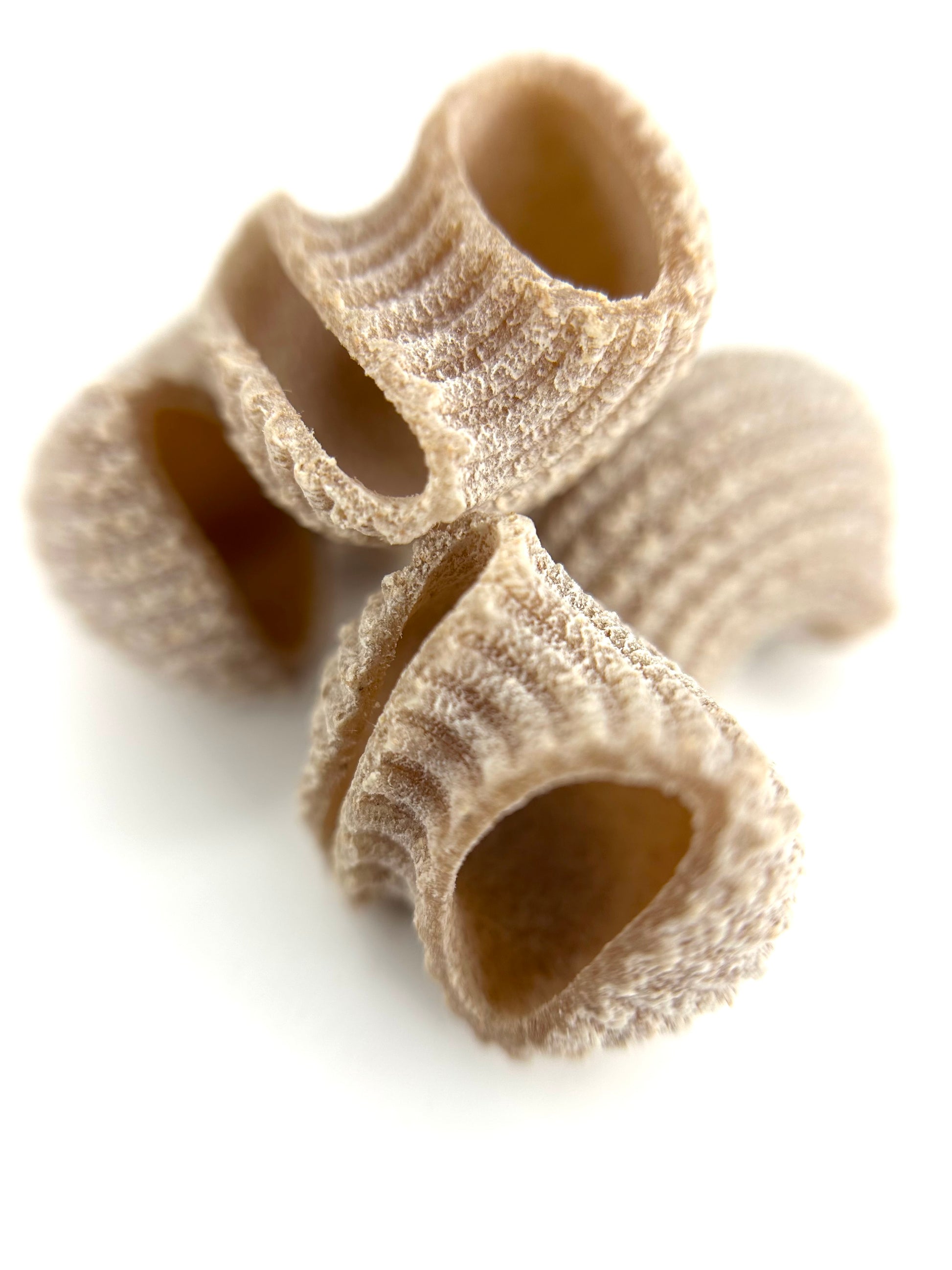 individual pieces of organic wholegrain spelt pipe rigate pasta from carleschi 