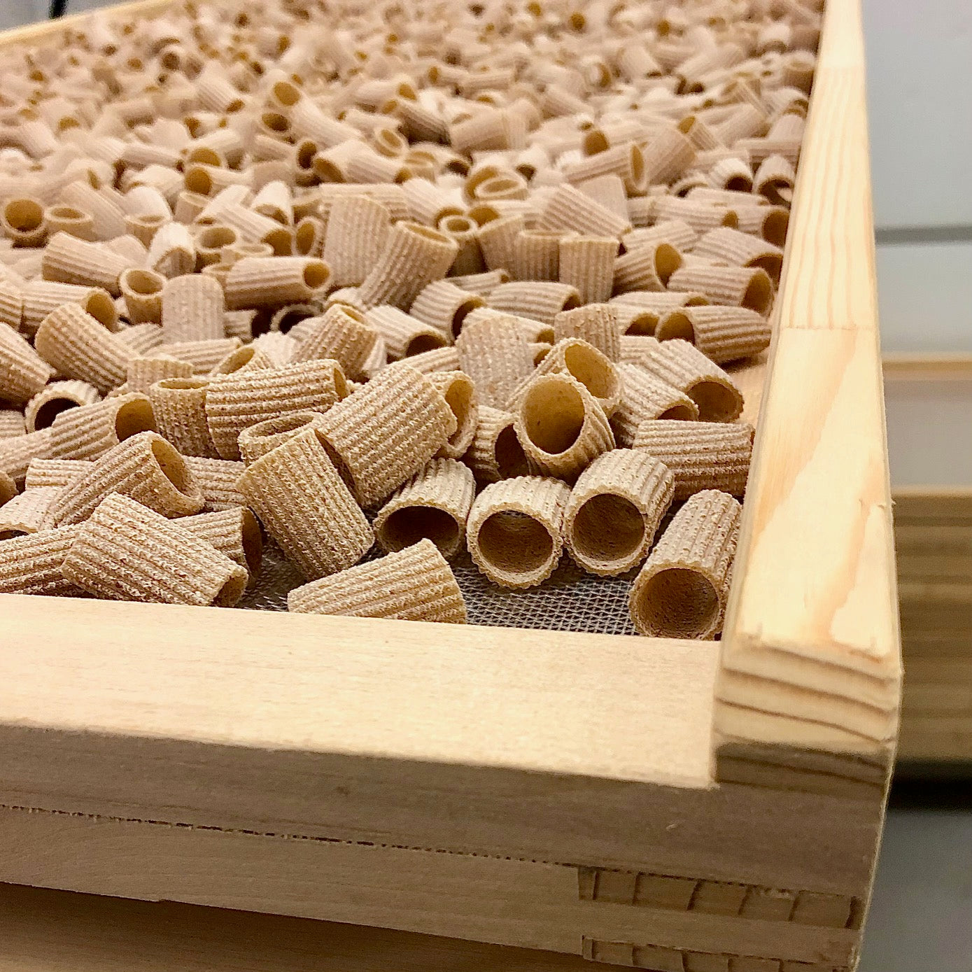 wooden box filled with wholegrain pasta from carleschi