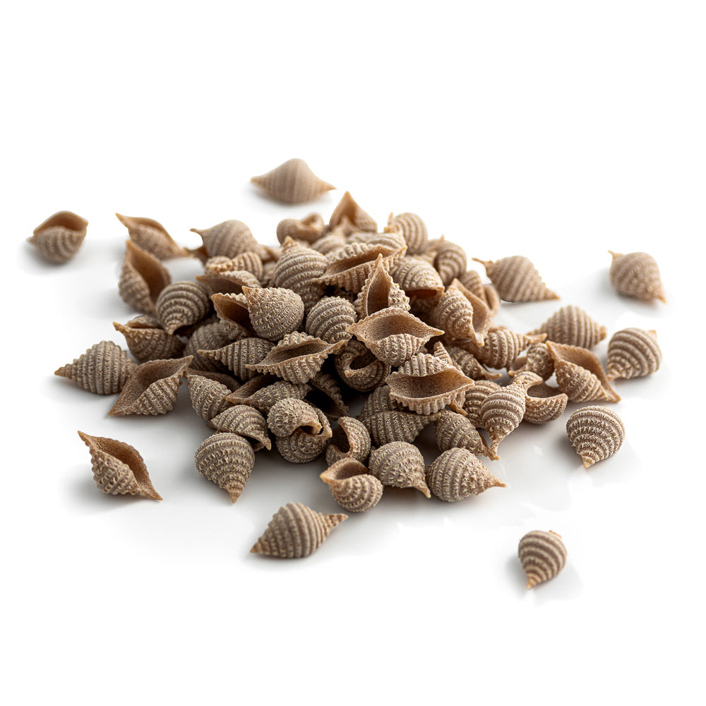 small pile of organic wholegrain spelt conchiglie pasta from carleschi 