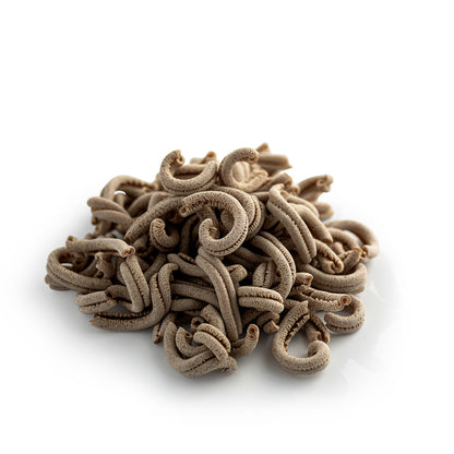 pile of organic wholegrain spelt casarecce pasta from carleschi 